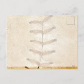 Vakantiegeld Briefkaart (Achterkant)