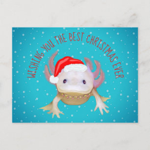 Vakantiegeld Briefkaart