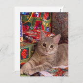 Vakantiegeld Kat Feestdagenkaart (Voorkant / Achterkant)