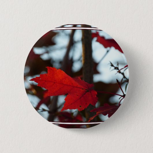 Vakantiegroven Ronde Button 5,7 Cm (Voorkant)