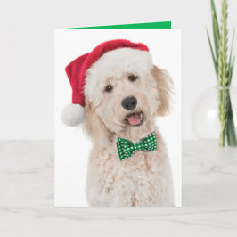 Vakantiekaart met Golden Doodle Kaart