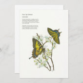 Vakantiekaarten Feestdagenkaart (Voorkant / Achterkant)