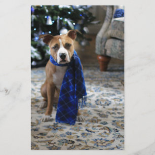 Vakantiekop van Pit Bull Rescue Dog Briefpapier