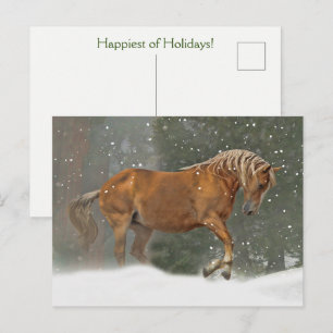Vakantiepaard in sneeuw briefkaart