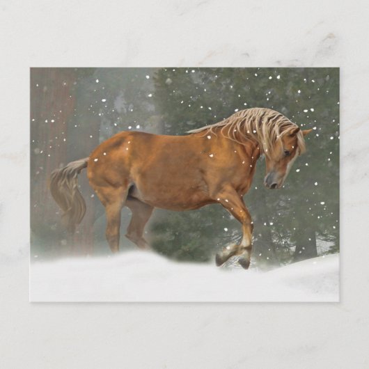 Vakantiepaard in sneeuw briefkaart (Voorkant)