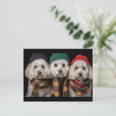 Vakantiepups Briefkaart (Staand voorkant)