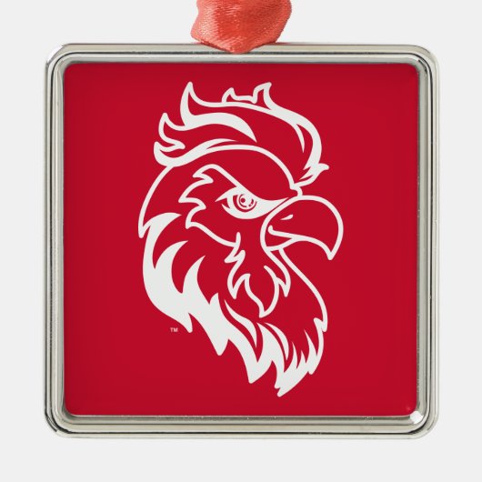 Vakantiewoningen in Jacksonville State University Metalen Ornament (Voorkant)