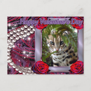 VAL-BENGAL-CAT-00073-6x4 Feestdagenkaart