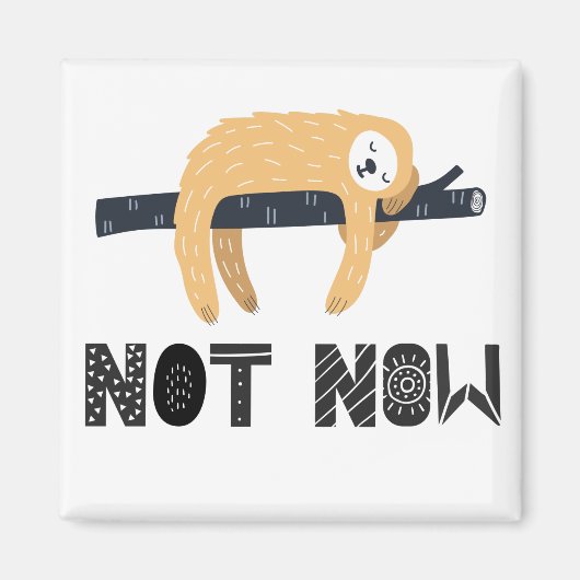 Val de luiaard niet lastig magneet (Voorkant)