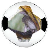 Val een stil intermezzo voetbal (Gedraaid)