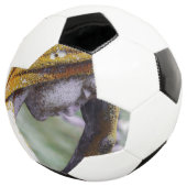 Val een stil intermezzo voetbal (Drie kwart)