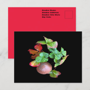 Val in het aardbeienseizoen Tuin Foto achtertuin Briefkaart