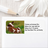 Val me niet lastig Koe Etiket (Insitu)