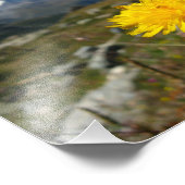 Valais Alps Swiss Foto Afdruk (Hoek)