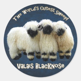 Valais Blaccusé - Sticker à mouton le plus crousti