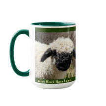 Valais Black Nose lamb