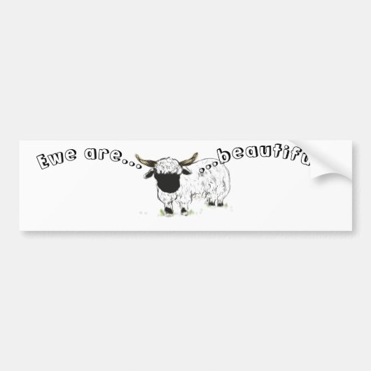 Valais Blerkende Sheep - Ewe zijn mooi! Bumpersticker (Voorkant)