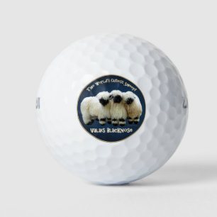 Valais Blerkse - 's Werelds meest kutste schaap! Golfballen