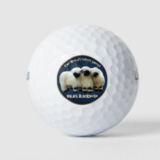 Valais Blerkse - 's Werelds meest kutste schaap! Golfballen