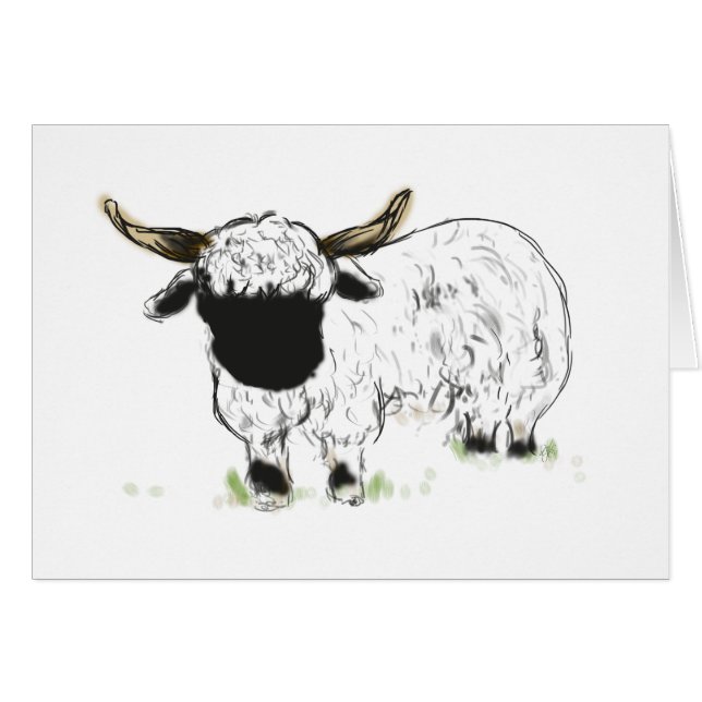 Valais blerkse schaap (Voorkant Horizontaal)