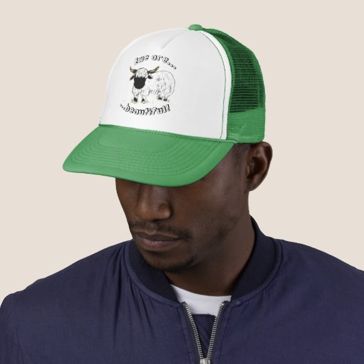Valais blerkse schaap - Ewe zijn mooi! Trucker Pet (In situ)