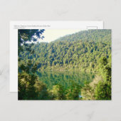 Valdivian Temperate Forest, Chili Briefkaart (Voorkant / Achterkant)