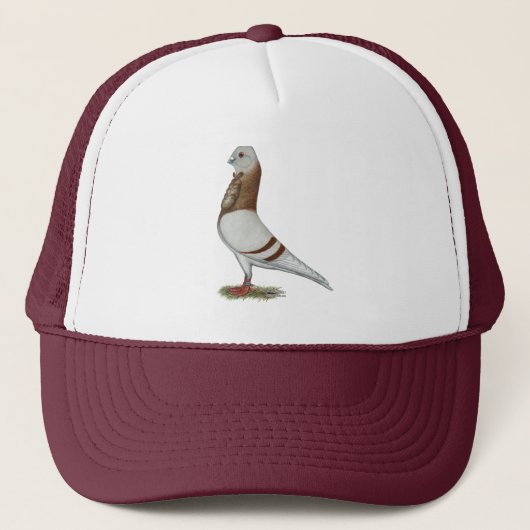 Valencia Figurita Pigeon Trucker Pet (Voorkant)