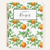 Valencia Sinaasappels Recipe Book