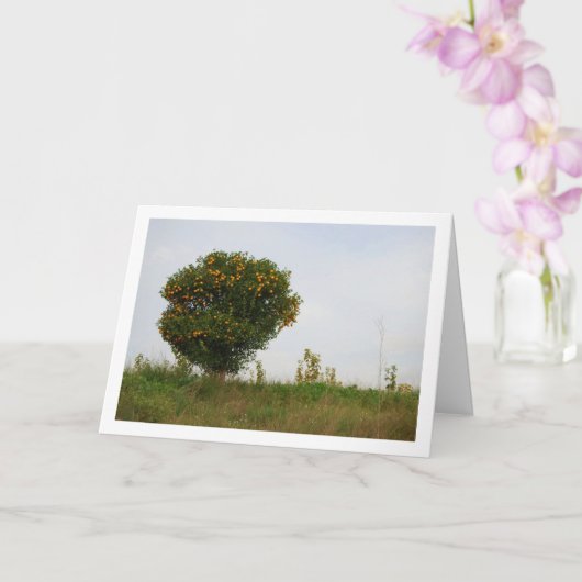 Valenciaans Mandarin Tree Landschap Kaart (Orchidee)