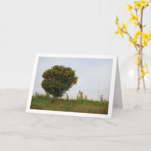 Valenciaans Mandarin Tree Landschap Kaart (Gele Bloem)