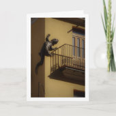 Valenciaanse Hagedis, Stad Valencia Kaart (Voorkant)