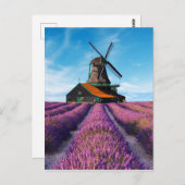 Valensole Lavender Fields Provence Frankrijk Briefkaart (Voorkant / Achterkant)