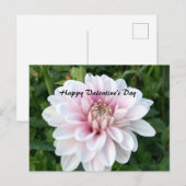 Valentijn briefkaart met witte en roze dahlia (Voorkant / Achterkant)