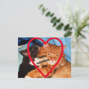 VALENTIJN CAT LOVE FEESTDAGENKAART