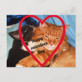 VALENTIJN CAT LOVE FEESTDAGENKAART (Voorkant)