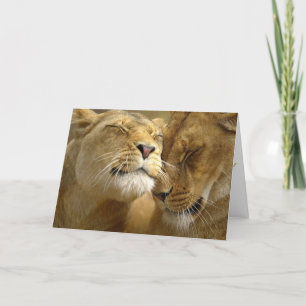 Valentijn Feestdagen Kaart