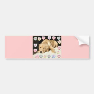Valentijn Golden Retriever Puppy Bumpersticker