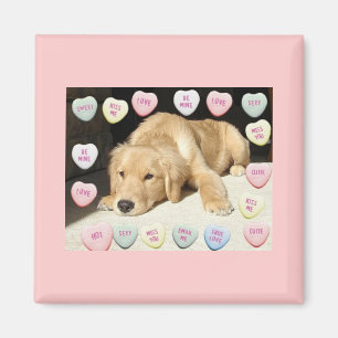 Valentijn Golden Retriever Puppy Magneet