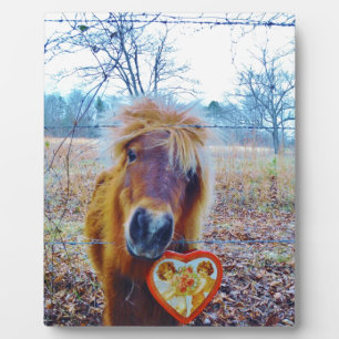 Valentijn hartpaard fotoplaat