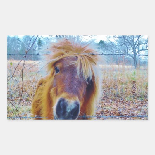 Valentijn hartpaard rechthoekige sticker (Voorkant)