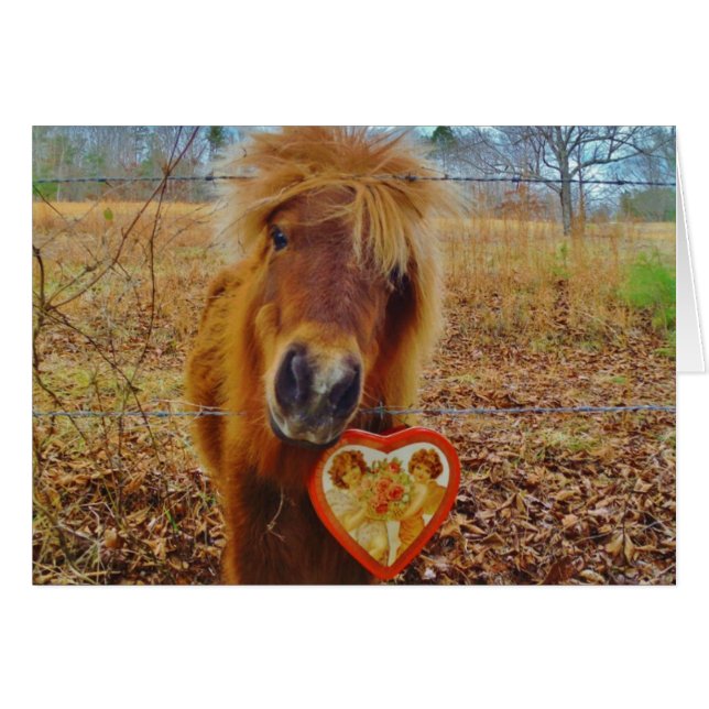 Valentijn Heart Miniatuur brown Horse (Voorkant Horizontaal)