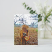 Valentijn Heart Miniatuur brown Horse Feestdagenkaart (Staand voorkant)