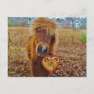 Valentijn Heart Miniatuur brown Horse Feestdagenkaart
