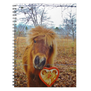 Valentijn Heart Miniatuur brown Horse Notitieboek