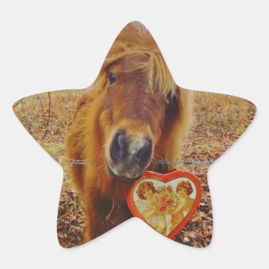 Valentijn Heart Miniatuur brown Horse Ster Sticker (Voorkant)