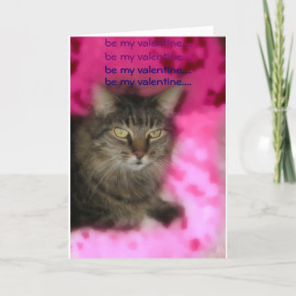 valentijn kat feestdagen kaart