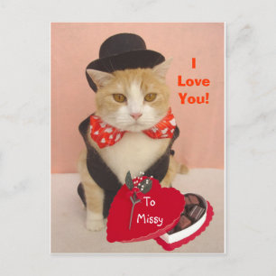 Valentijn Kat Feestdagenkaart
