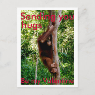 Valentijn knuffel briefkaart