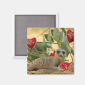 Valentijn Meerkat Magneet (Voorkant / Achterkant)