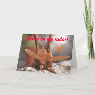 Valentijn Moth Antennae: Je staat op mijn radar! Feestdagen Kaart